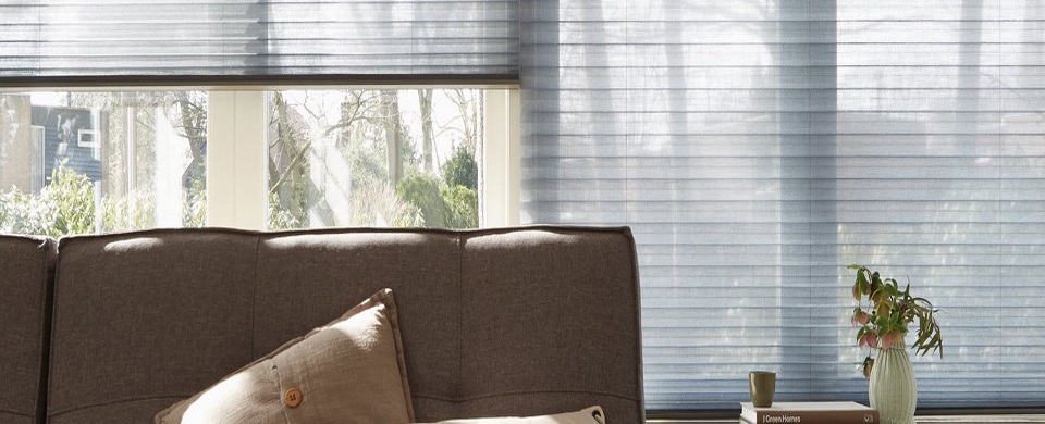 Pleated blinds